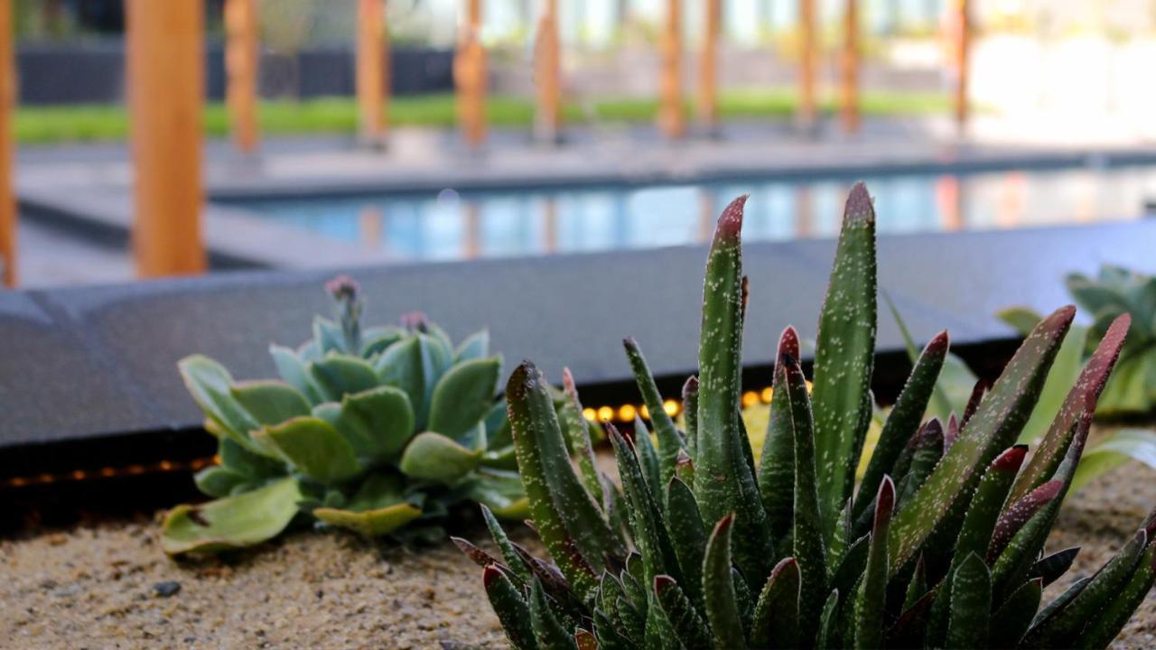 Quartz Hotel & Spa Tijuana Zewnętrze zdjęcie